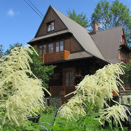 Willa Dewajtis Bed & Breakfast Zakopane Exterior foto
