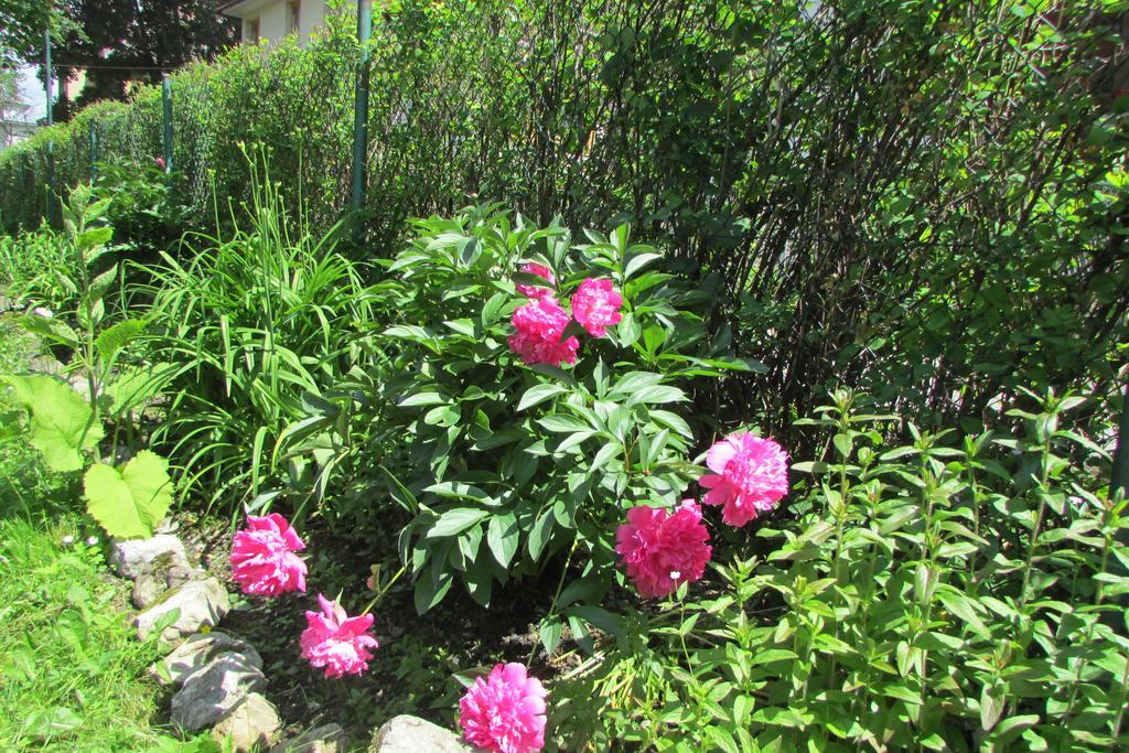 Willa Dewajtis Bed & Breakfast Zakopane Exterior foto