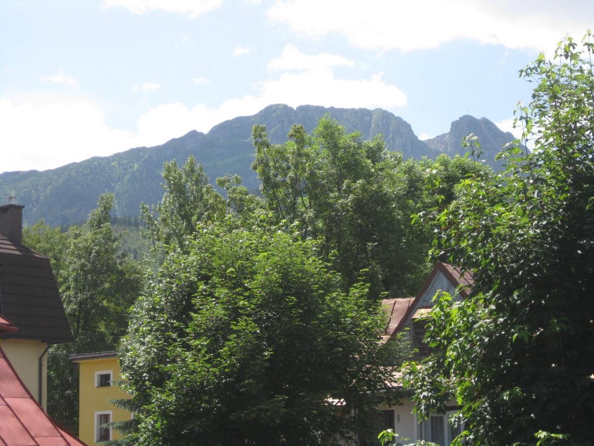 Willa Dewajtis Bed & Breakfast Zakopane Cameră foto